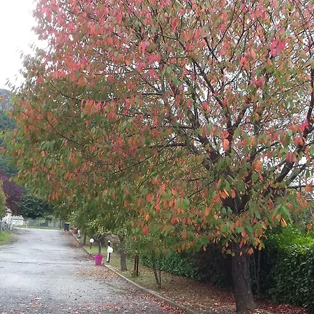 Isard - Le Hameau De La Courbiere * Tarascon-sur-Ariege