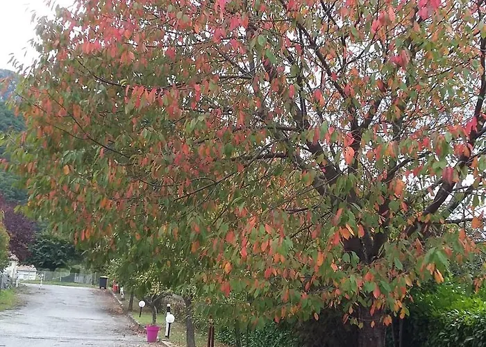 Isard - Le Hameau De La Courbiere * Tarascon-sur-Ariège