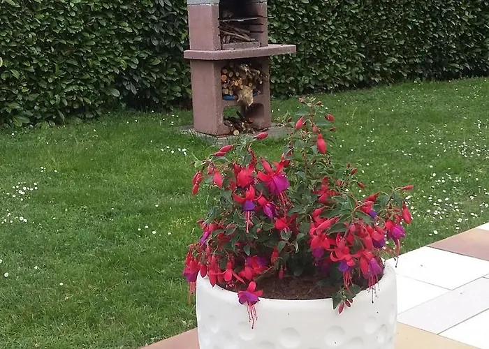 Isard - Le Hameau De La Courbiere *