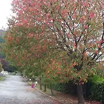Isard - Le Hameau De La Courbiere * Tarascon-sur-Ariège