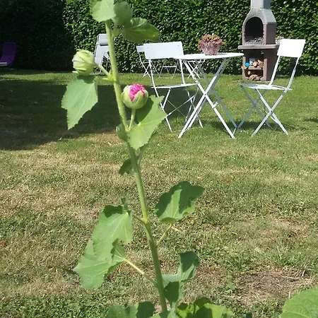 Isard - Le Hameau De La Courbiere