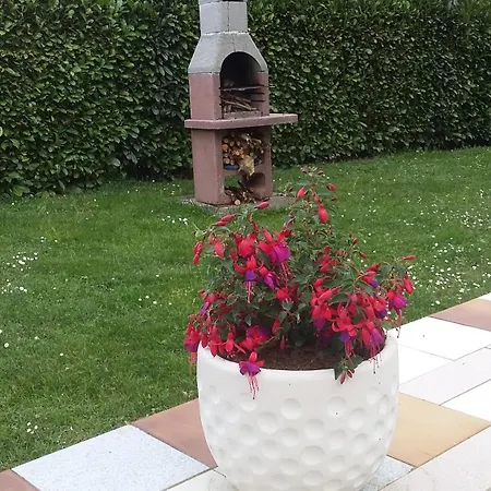 Isard - Le Hameau De La Courbiere *